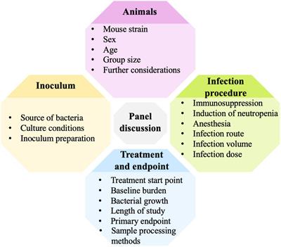 Expert workshop summary: Advancing toward a standardized murine model to evaluate treatments for antimicrobial resistance lung infections